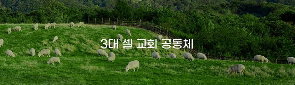 셀교회